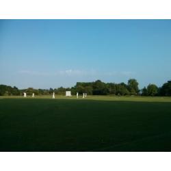 ***ANTARES C.C. - cricket players needed for Sat 11th June, 1pm***