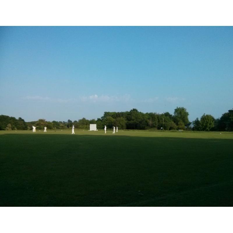 ***ANTARES C.C. - cricket players needed for Sat 11th June, 1pm***