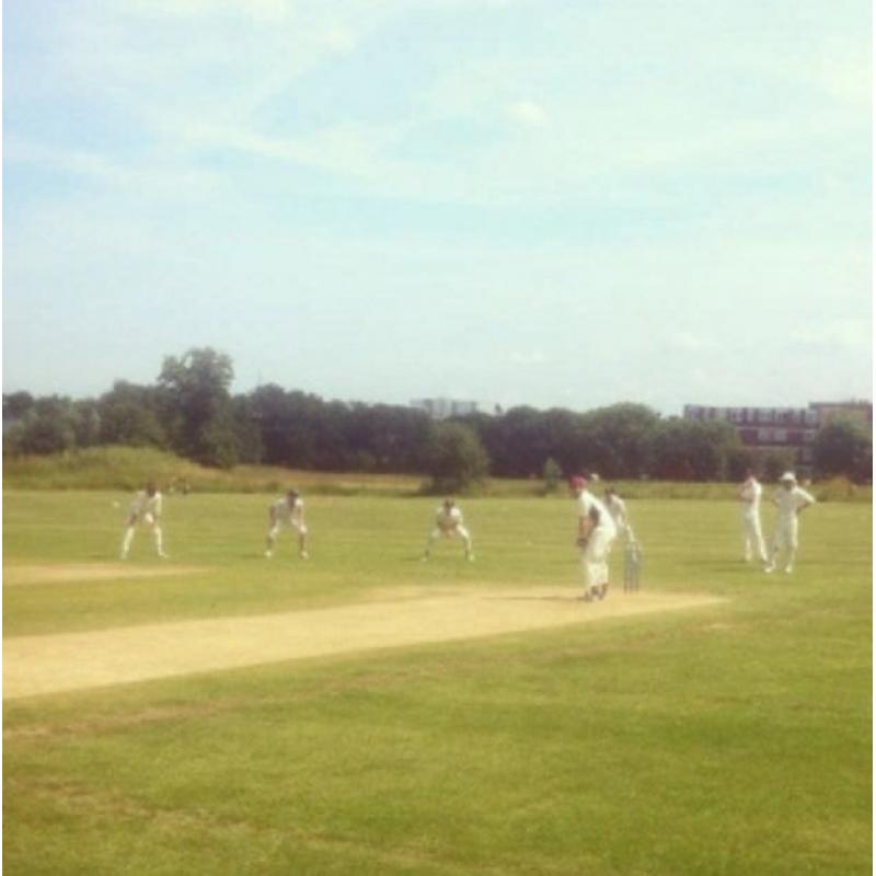 ***ANTARES C.C. - cricket players needed for Sat 11th June, 1pm***