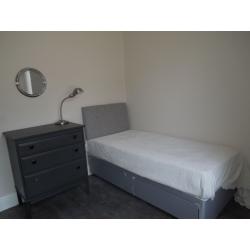 Single Room in Denmark Hill
