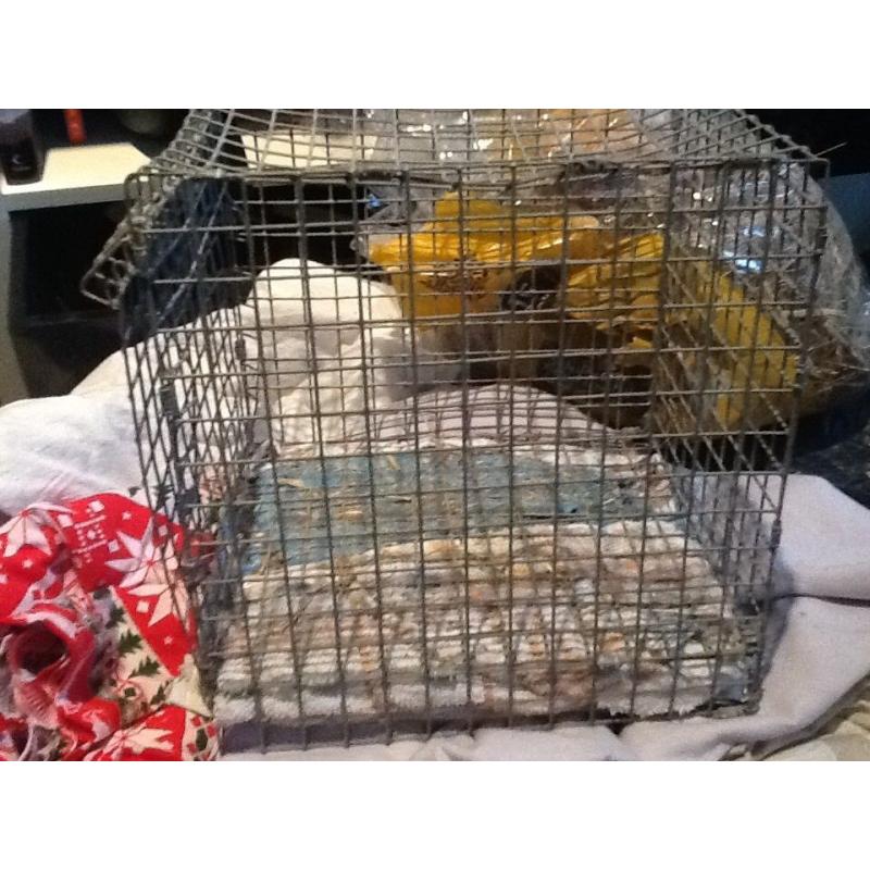 Large Cage for Small Animals - FREE to pick up, available immediately.