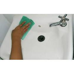 Lady Cleaning Services