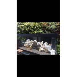 Juwell Rio 400 Fish Tank