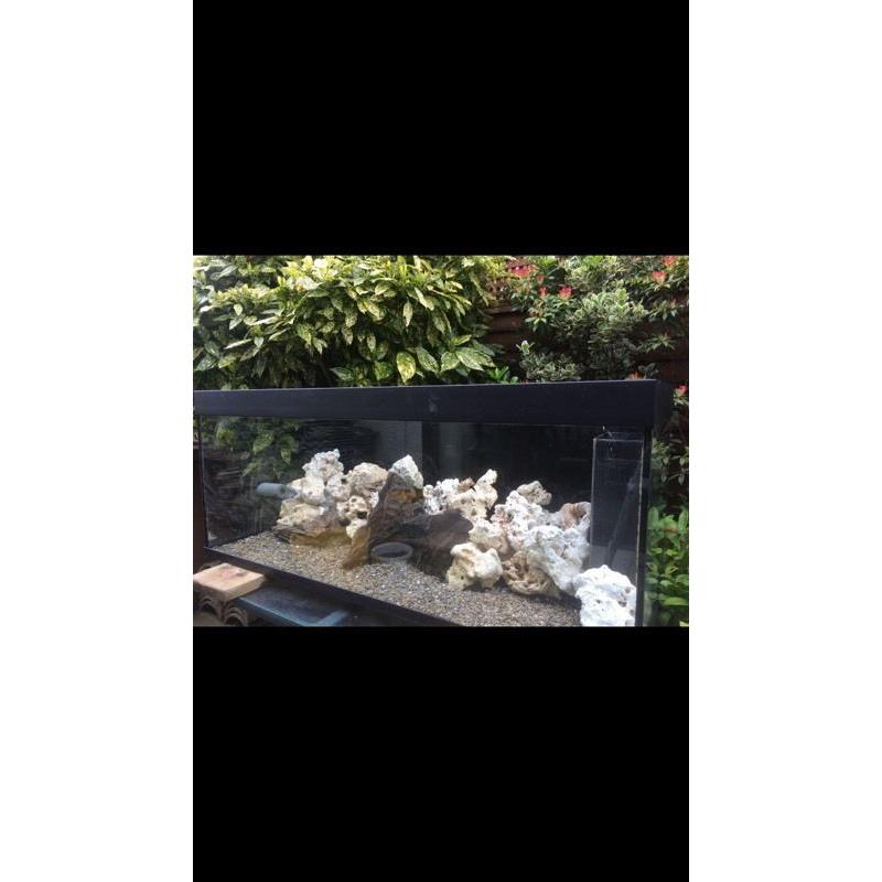 Juwell Rio 400 Fish Tank