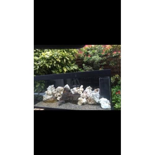 Juwell Rio 400 Fish Tank