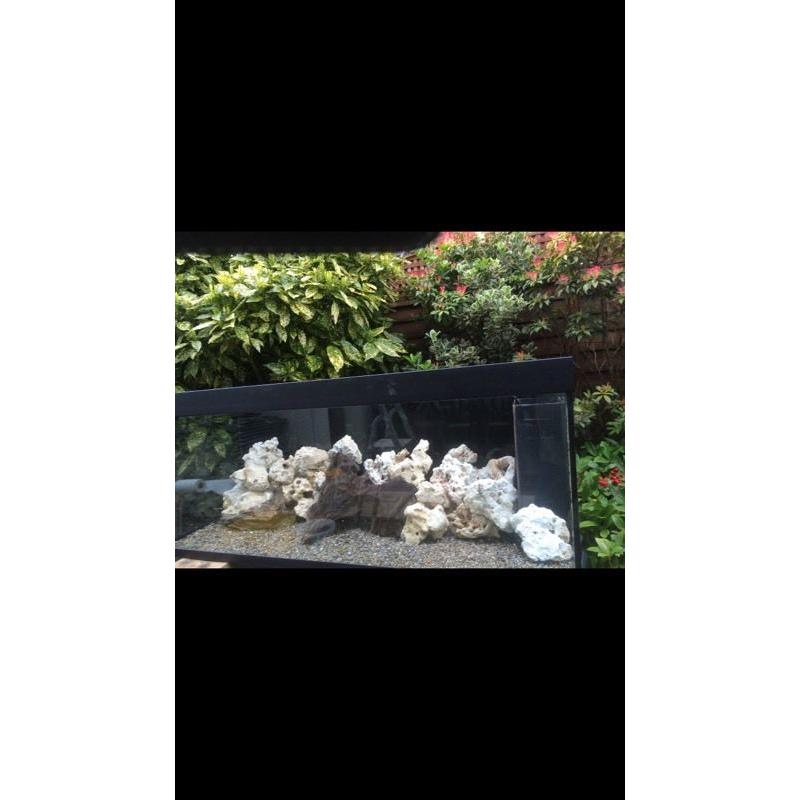 Juwell Rio 400 Fish Tank