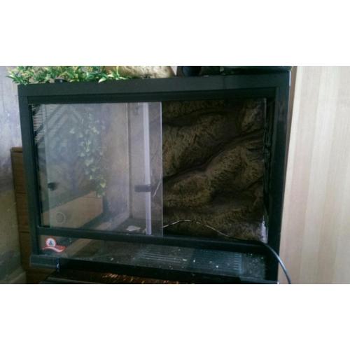 Full Viv set up