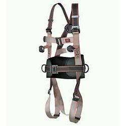 Safety Harness and Lanyard