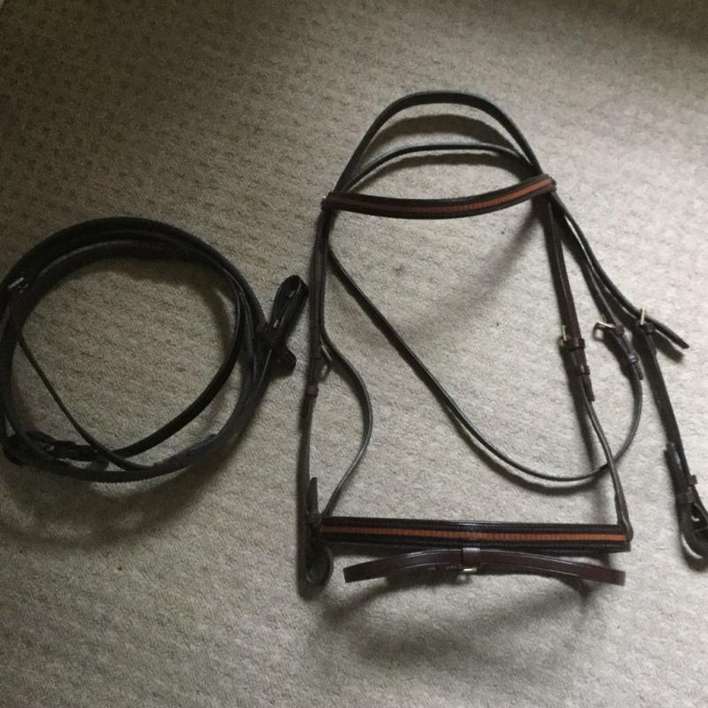 Stubbed bridle with reins (brand new)