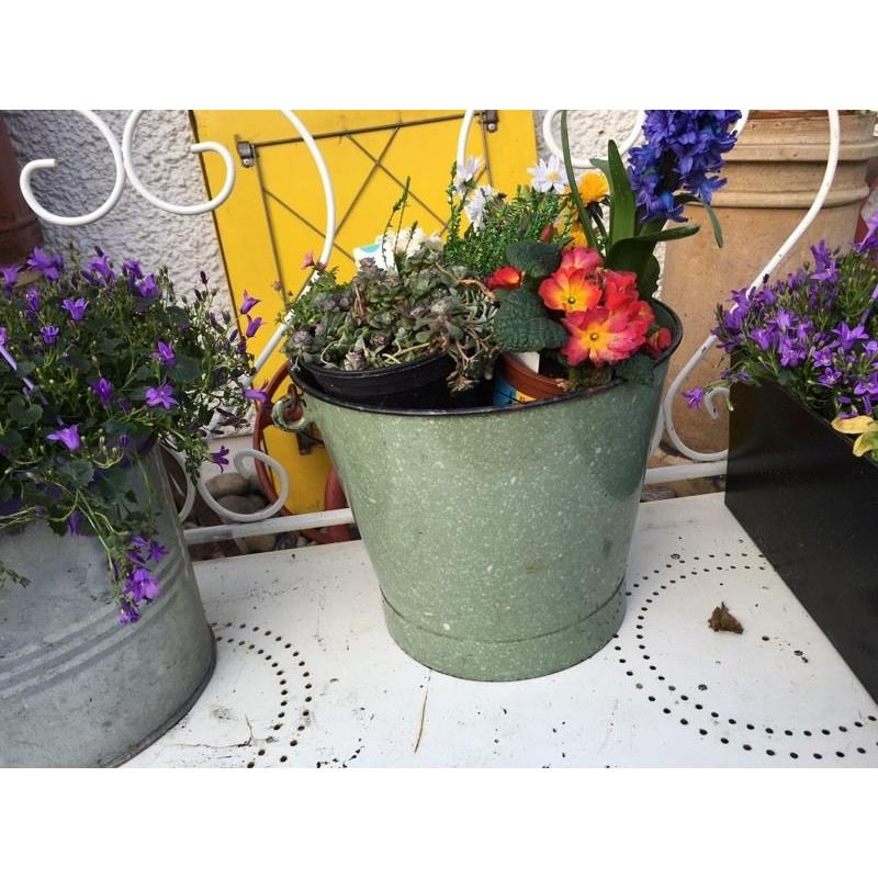 Vintage green enamel French bucket garden planter pot shabby