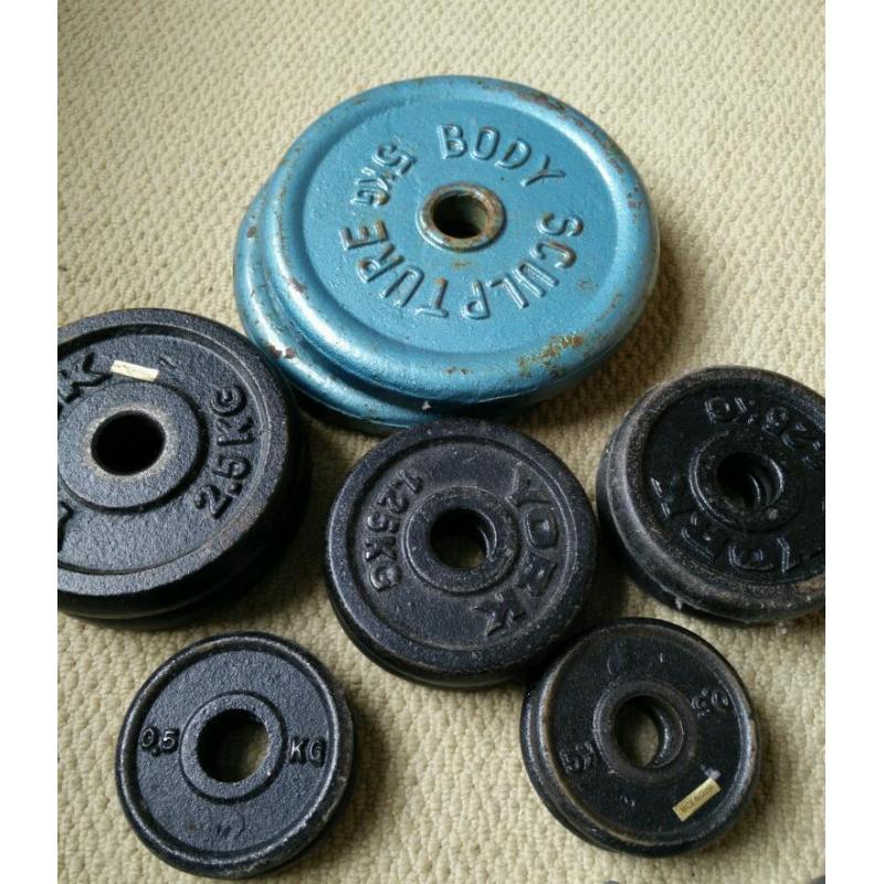 25kg of free weights and bars