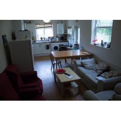 Double room available in lovely house in Southville