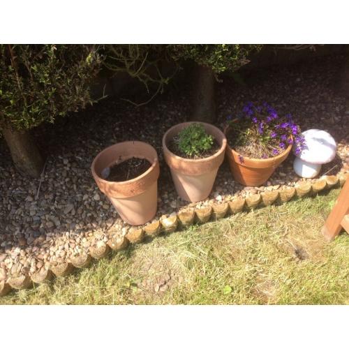 Terracotta pots
