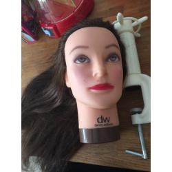 Hair model styling head