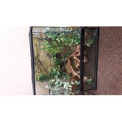Exo Terra Vivarium/Terrarium tank