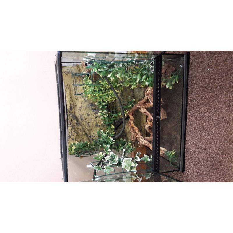 Exo Terra Vivarium/Terrarium tank