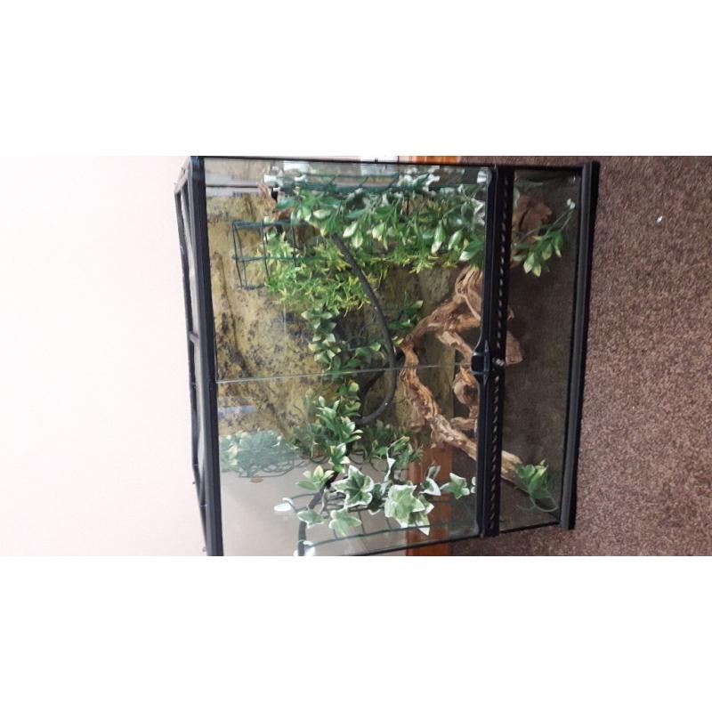 Exo Terra Vivarium/Terrarium tank
