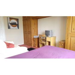 Large Double Bedroom to Rent for 6 Weeks Max