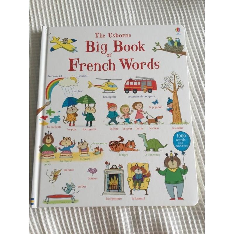 Usborne big book of French words