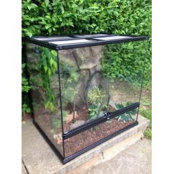 EXO Terra vivarium for reptiles. Pets.
