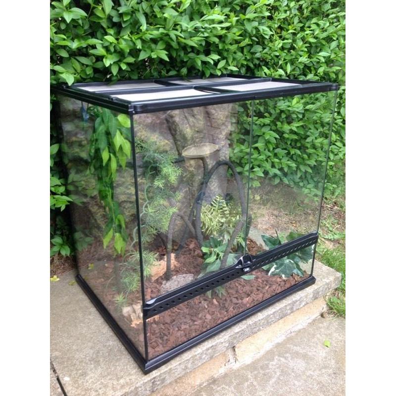 EXO Terra vivarium for reptiles. Pets.
