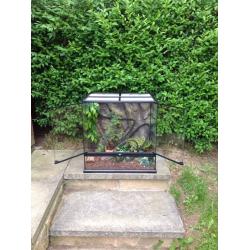 EXO Terra vivarium for reptiles. Pets.