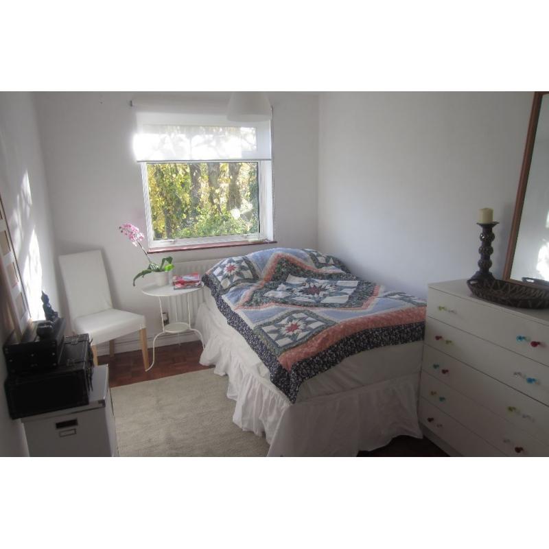 Double room in light and bright flat for rent