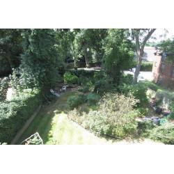 Double room in light and bright flat for rent