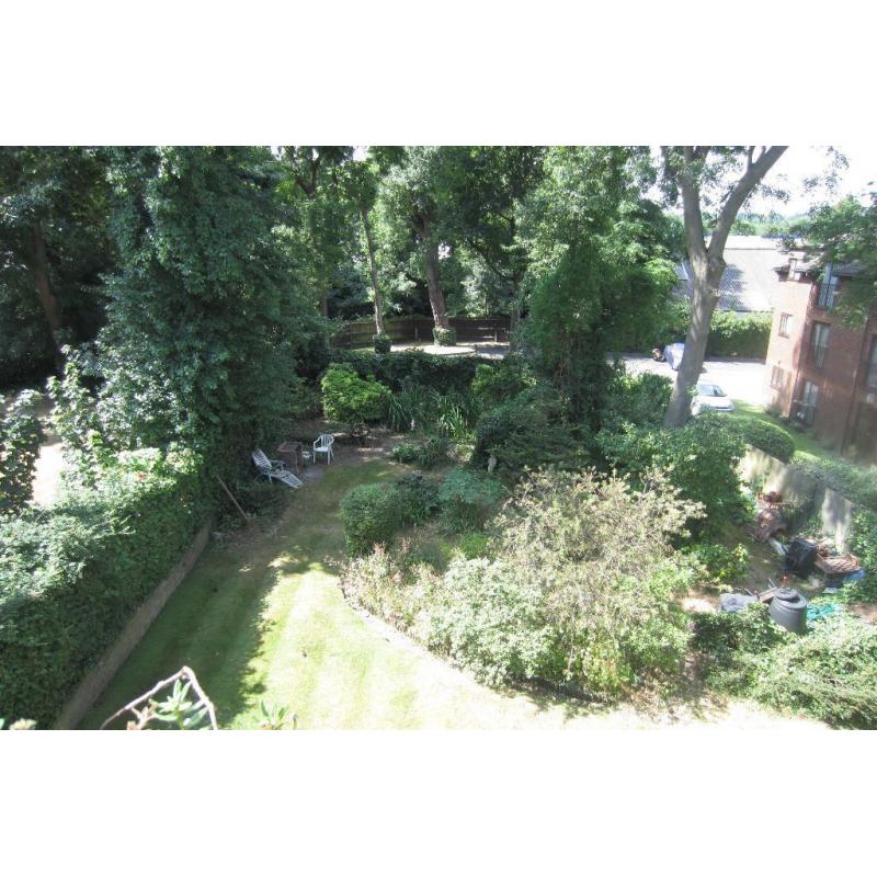 Double room in light and bright flat for rent
