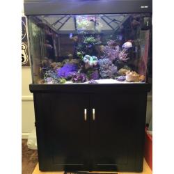 ???? Aqua one 300 marine/tropical fish tank with full setup (delivery/installation)