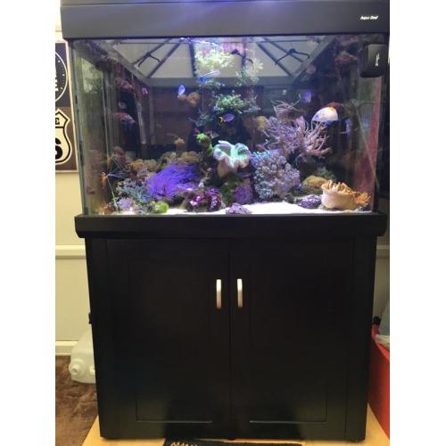 ???? Aqua one 300 marine/tropical fish tank with full setup (delivery/installation)
