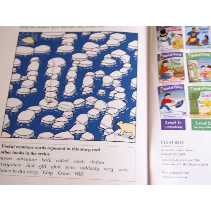 Oxford Reading Tree Level 4 Read at Home books