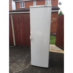 Tall Bosch freezer