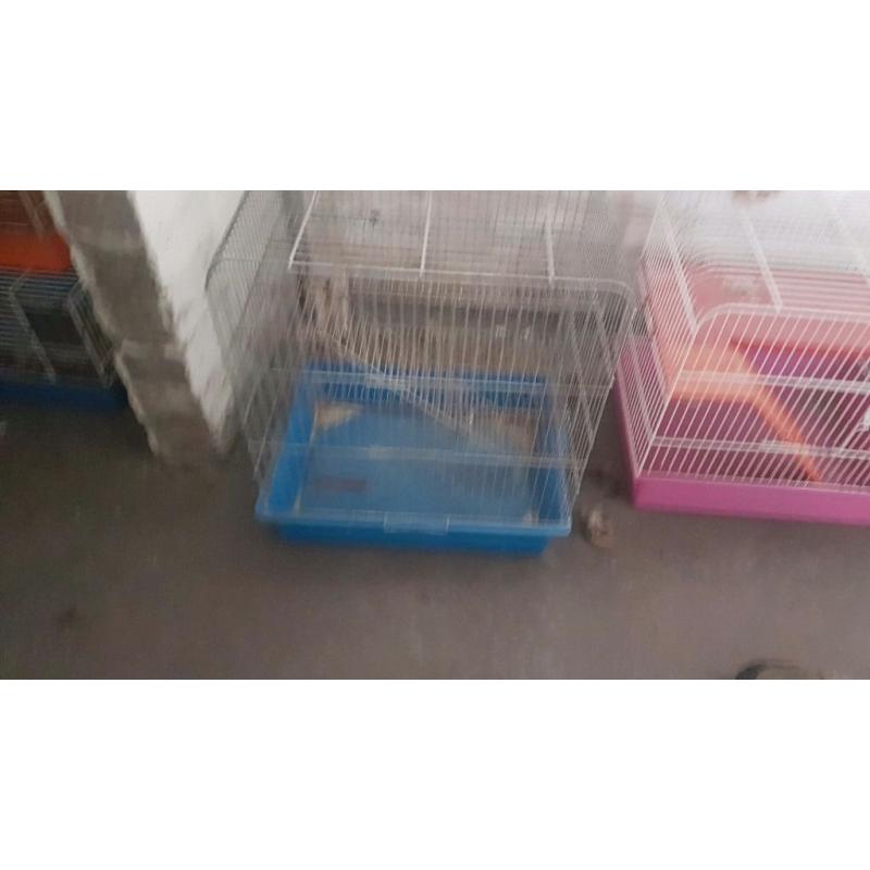 Assorted hanster cages