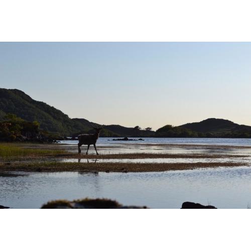 Glencanisp and Drumrunie sporting events