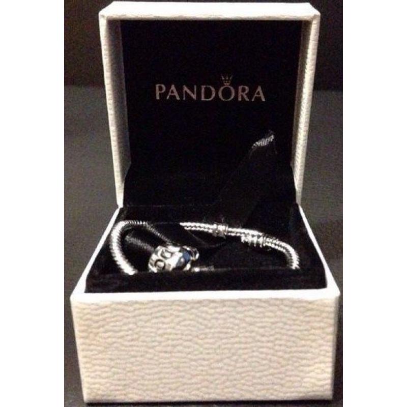 Pandora Silver Charm Bracelet