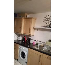 Modern city house share short or long term let flexible contract M88bq