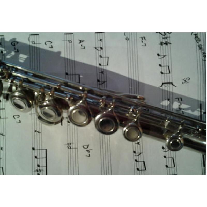 Do you - or did you ever - play clarinet, flute or oboe? Would you like to come out to play?
