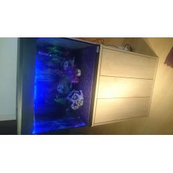 FISH TANK FOR SALE..FULL SET UP