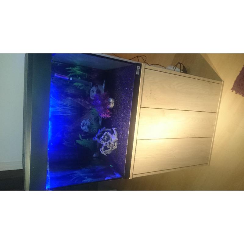 FISH TANK FOR SALE..FULL SET UP