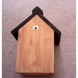 New bird box