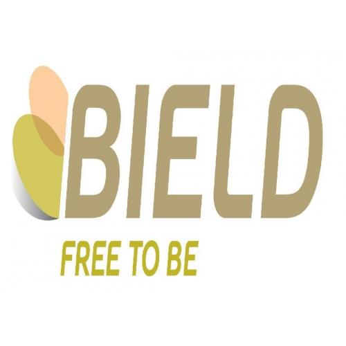 BIELD - Volunteer Social Activity Assistant