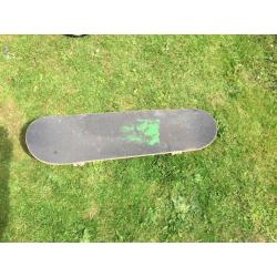 Skate board