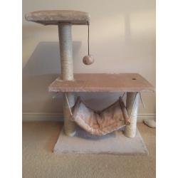 Cat scratch pole