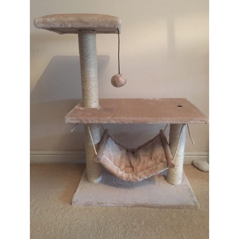 Cat scratch pole