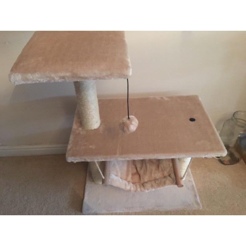 Cat scratch pole