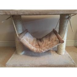 Cat scratch pole