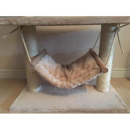 Cat scratch pole