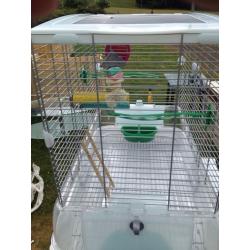 Vision bird cage with accessories