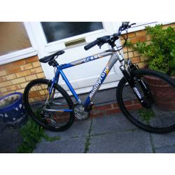 MANS 19" FRAME BIKE IN GREAT WORKING ORDER no rust
